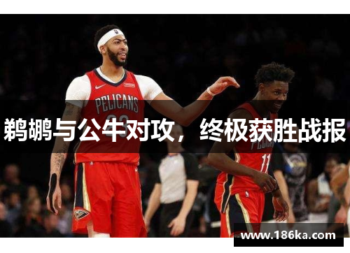 鹈鹕与公牛对攻，终极获胜战报